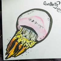 Quallotte